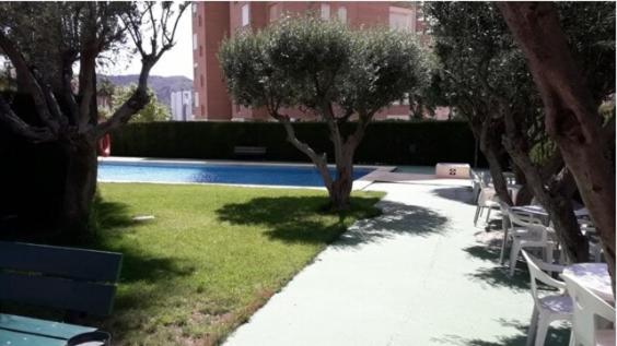 Olivia Resort Marbella بينايدورم المظهر الخارجي الصورة